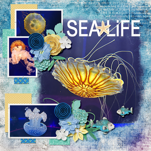 Sea life