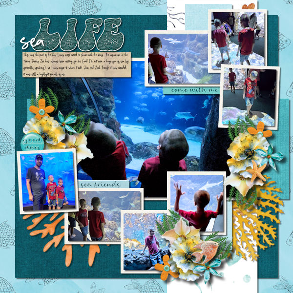 Sea Life