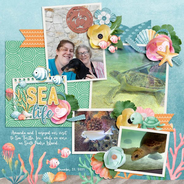Sea Life
