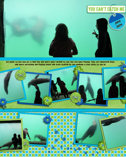 Sea Lions