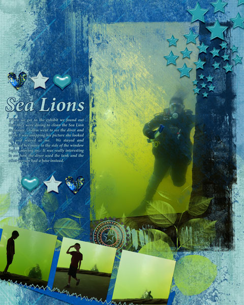 Sea Lions