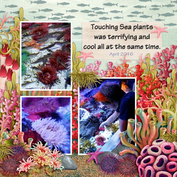 Sea Plants