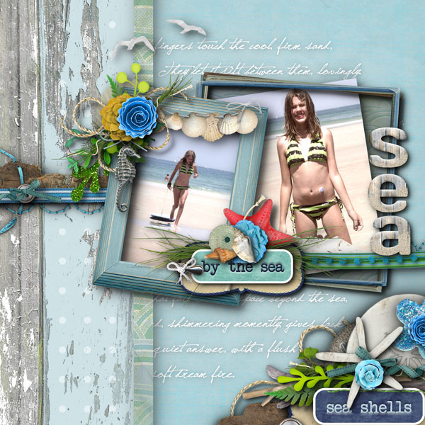 Sea Shells