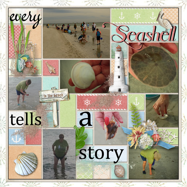 Sea Shells