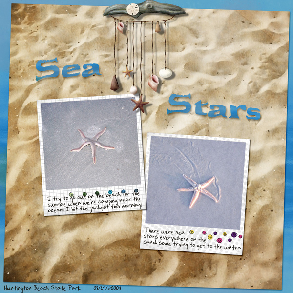 Sea Stars