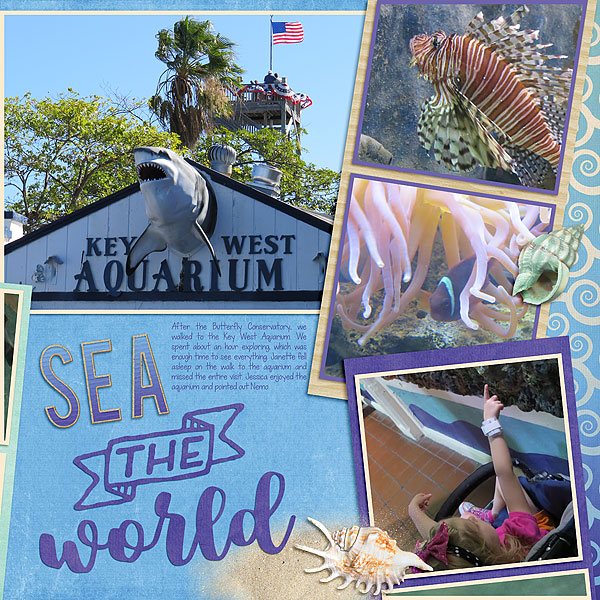 Sea the World (right)