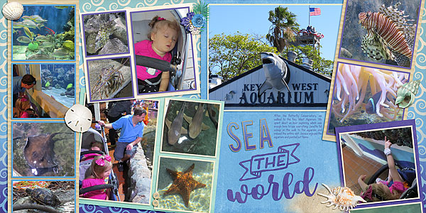 Sea the World