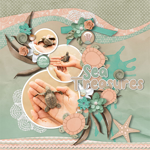 Sea Treasures
