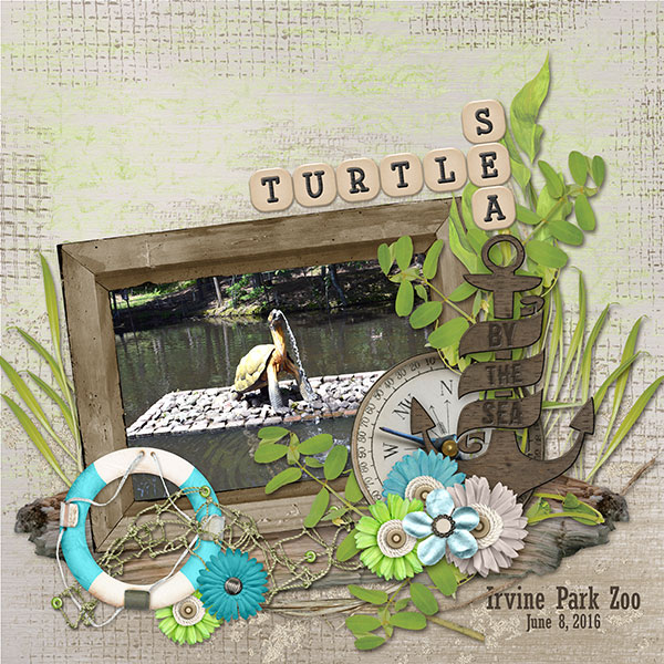 Sea Turtle