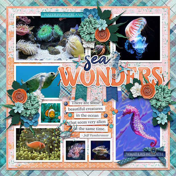 sea wonders