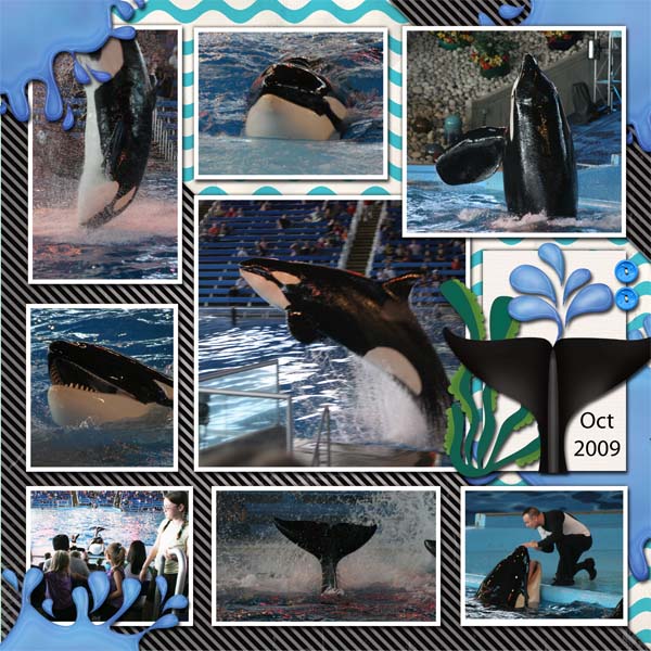 Sea World 2009