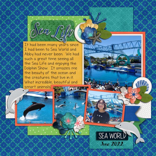 Sea World Dolphins