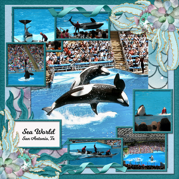 Sea World San Antonio, Tx