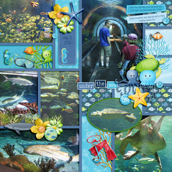 Sea World San Diego