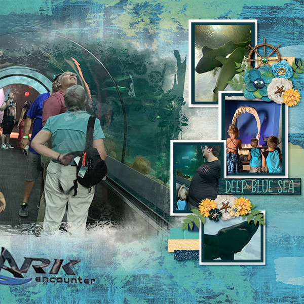 Sea World Shark Encounter