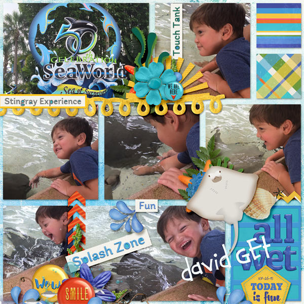Sea World- Sting Ray Petting