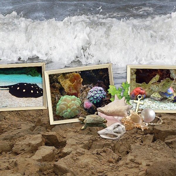 Sea