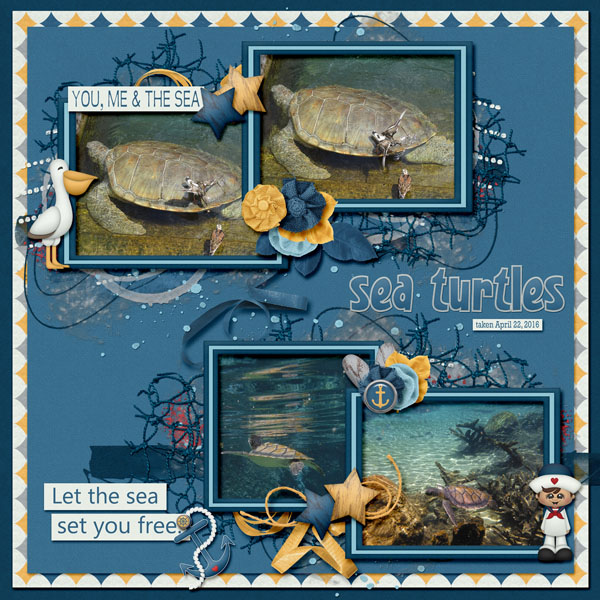 sea_turtles_small