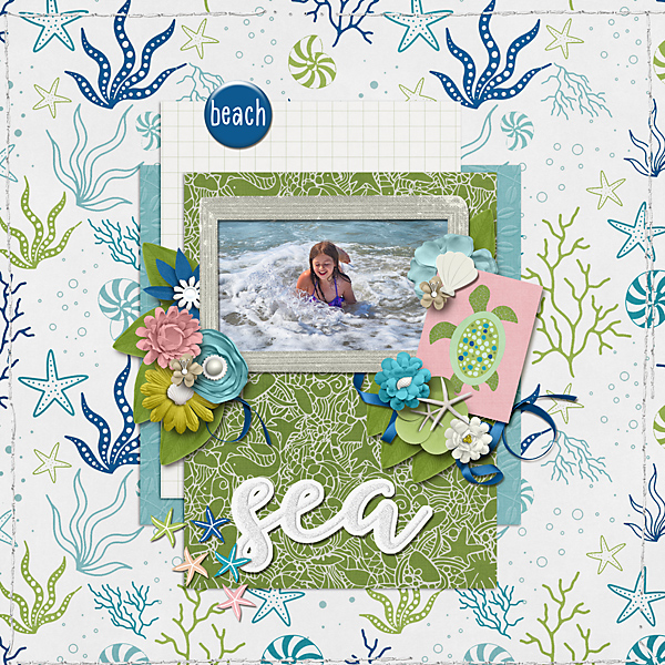 seabeach-copy