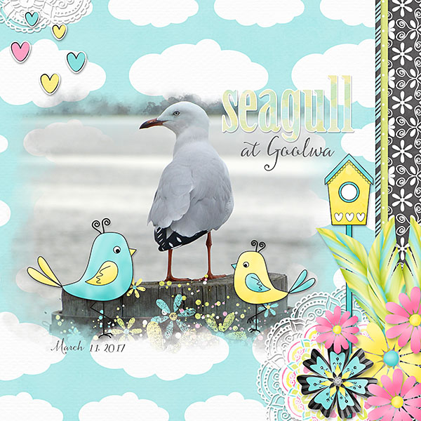 Seagull at the Beach