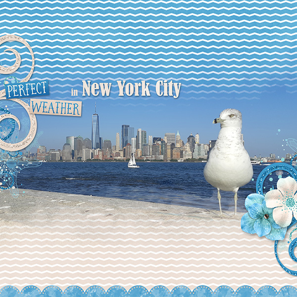 Seagull in New York