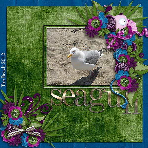 Seagull