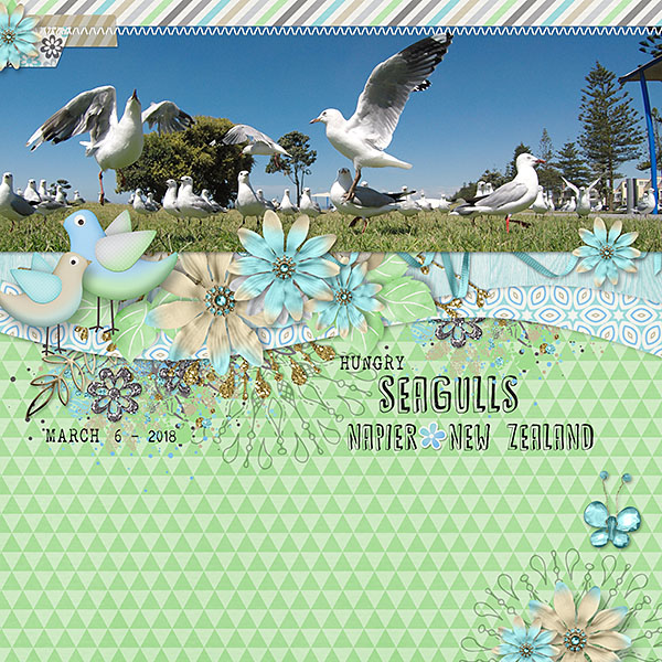 Seagulls