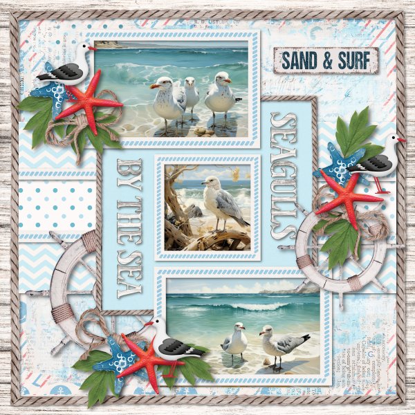 seagulls