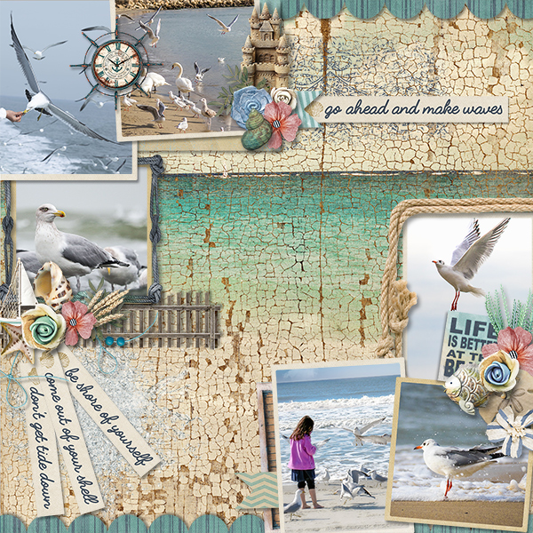 Seagulls