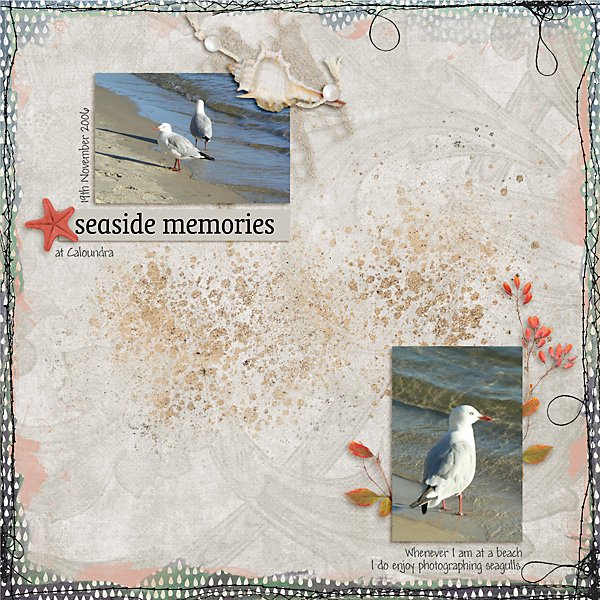 Seagulls