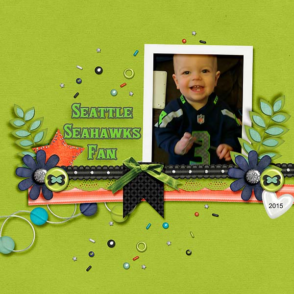 Seahawks Fan