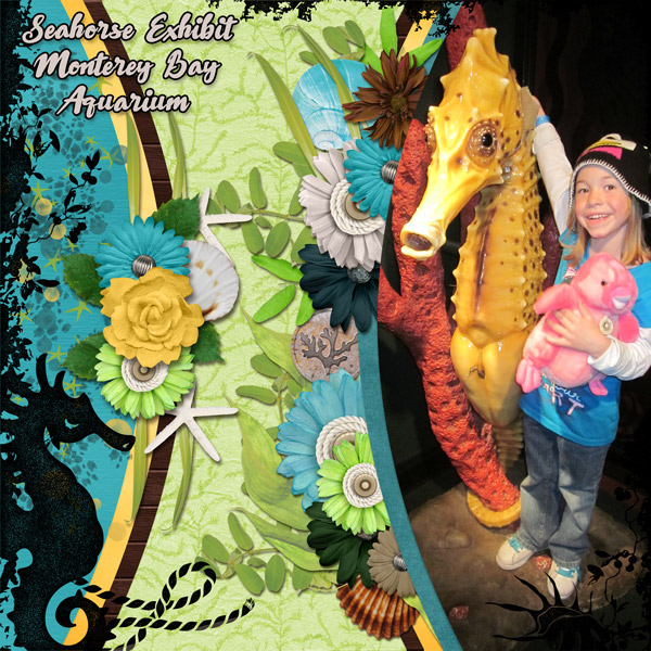 seahorse ex.