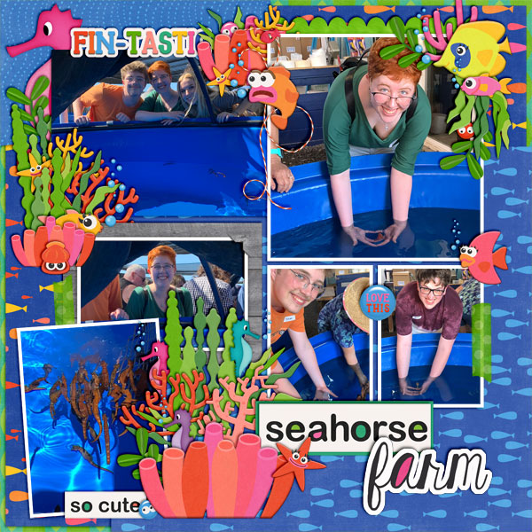 Seahorse Farm