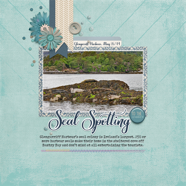 Seal Spotting