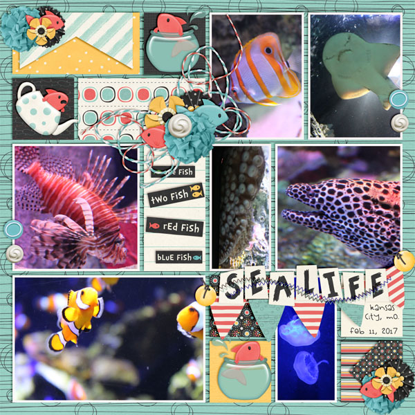 sealife