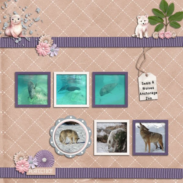 Seals and Wolves