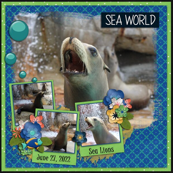 Seals