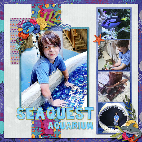 Seaquest Aquarium 2021