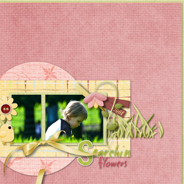 searchin flowers