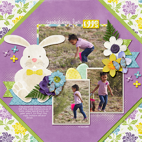 Searching For Eggs