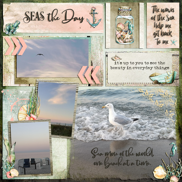 seas the day