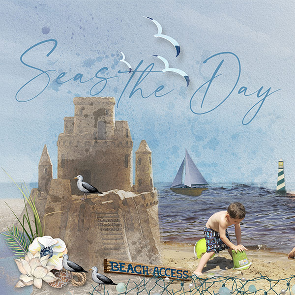 Seas The Day