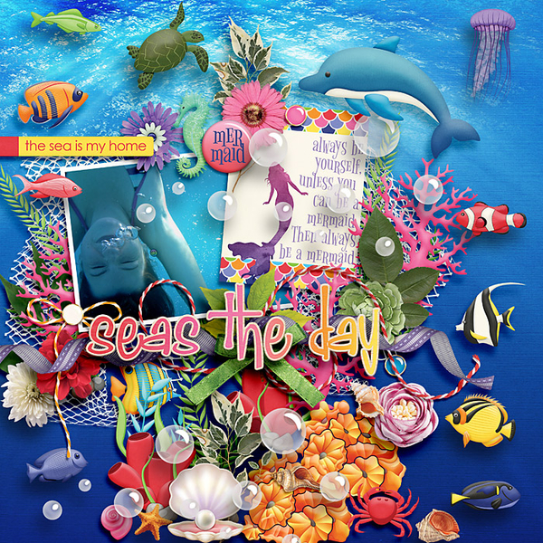 Seas the day