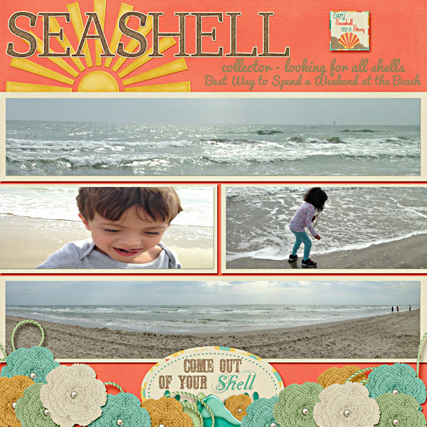 Seashell Collector
