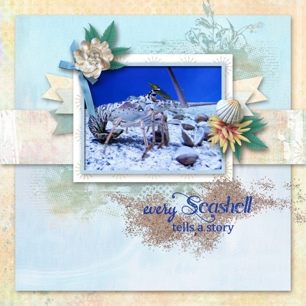 Seashell