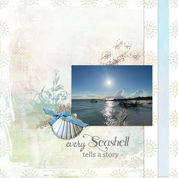 Seashell