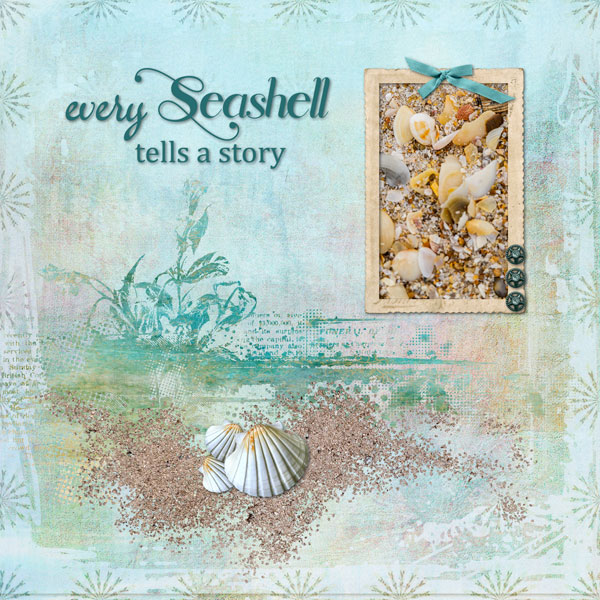 Seashells at the Beach