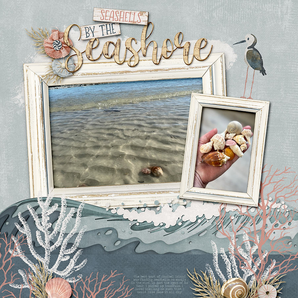 ~Seashells by the Seashore~