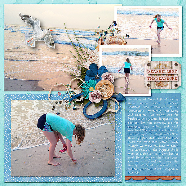 Seashells by the Seashore