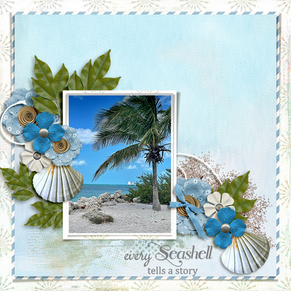 Seashells